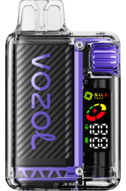 VOZOL Vape Avis - VOZOL VISTA 16000/20000 RD4TL24 pamplemousse aux fleurs de sureau