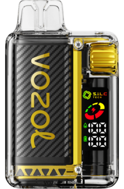 VOZOL Vape Sale - VOZOL VISTA 16000/20000 RD4TL28 glace à la mangue